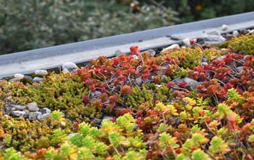 the cost of Horndon On The Hill green roof installation