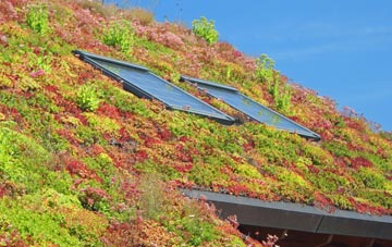 Horndon On The Hill living roof systems