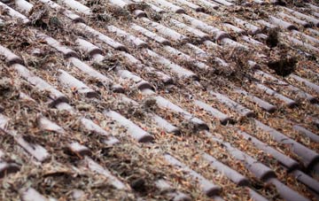 Horndon On The Hill roof cleaning companies