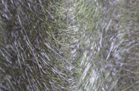 Horndon On The Hill fibreglass roof work